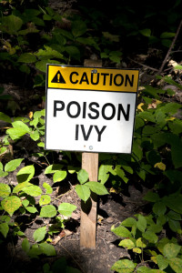 Sign poison Ivy