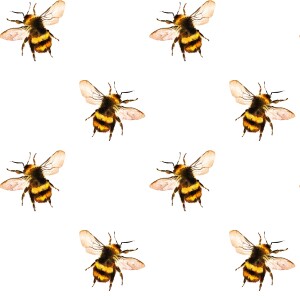 Honey bees resized